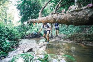 BIB: 
                            <button type="button" onclick="openModal(25433685)" class="btn btn-primary btn-sm float-right btn-popup" data-toggle="modal" data-target=".modal-high-quality">
                        <i class="fas fa-shopping-cart"></i> Add to Cart
                    </button>
                                            <button type="button" onclick="isThisMe(25433685, true)" class="btn btn-success btn-sm float-right btn-popup btn-isme hidden" data-toggle="tooltip" data-placement="bottom" title="นี่คือรูปของคุณใช่ไหม คลิกที่นี่เพื่อเอาเข้าอัลบั้ม">
                        <i class="fas fa-plus"></i> Add to album
                    </button>
                    <button type="button" onclick="isThisMe(25433685, false)" class="btn btn-warning btn-sm float-right btn-popup btn-isnotme hidden">
                        <i class="fas fa-ban"></i> Remove from album
                    </button>